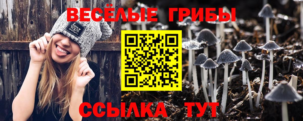 Галлюциногенные грибы мицелий Балабаново