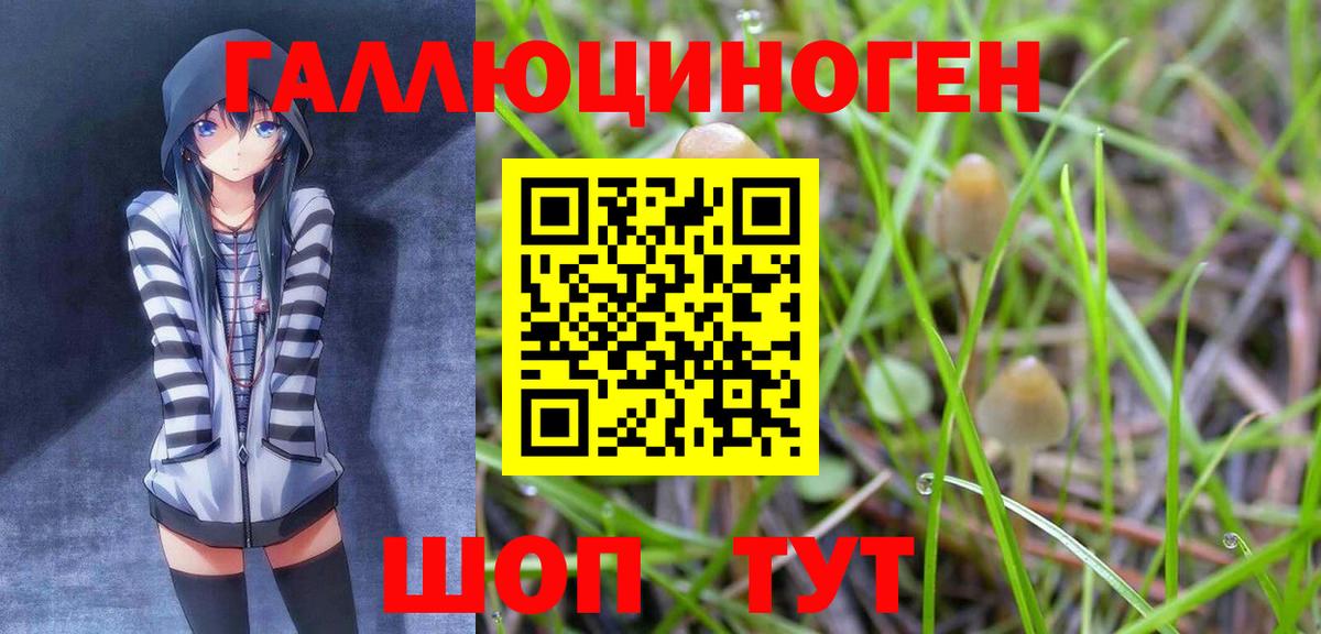 Галлюциногенные грибы Cubensis Балабаново